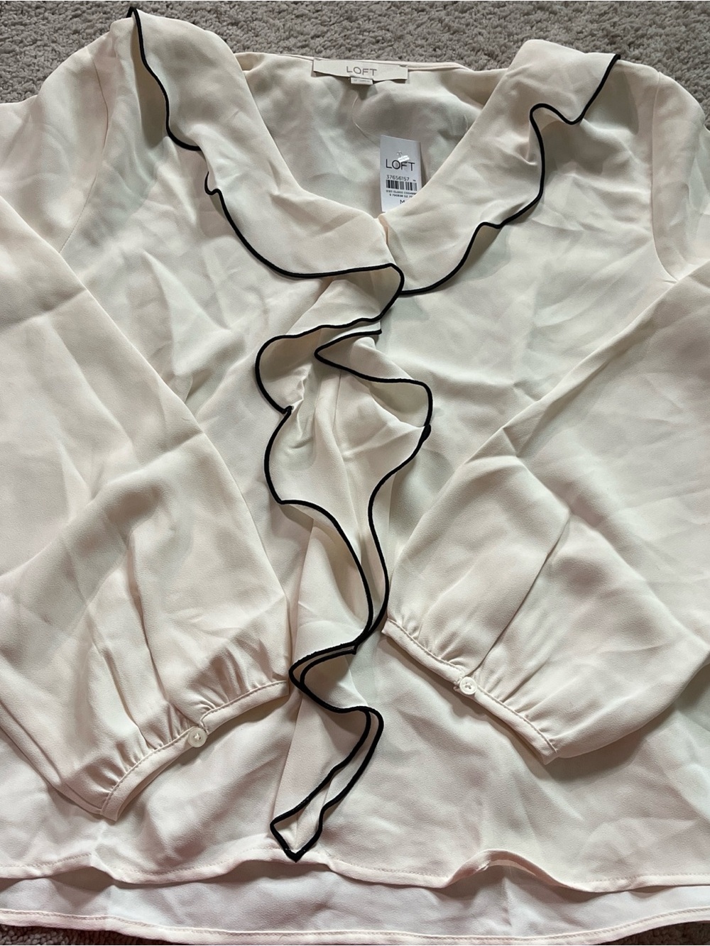 LOFT Ivory Sheer Ruffle Blouse with Black Piping
